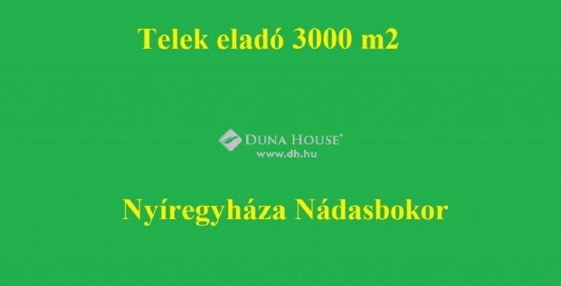 Elad� 3000 nm-es telek Ny�regyh�za