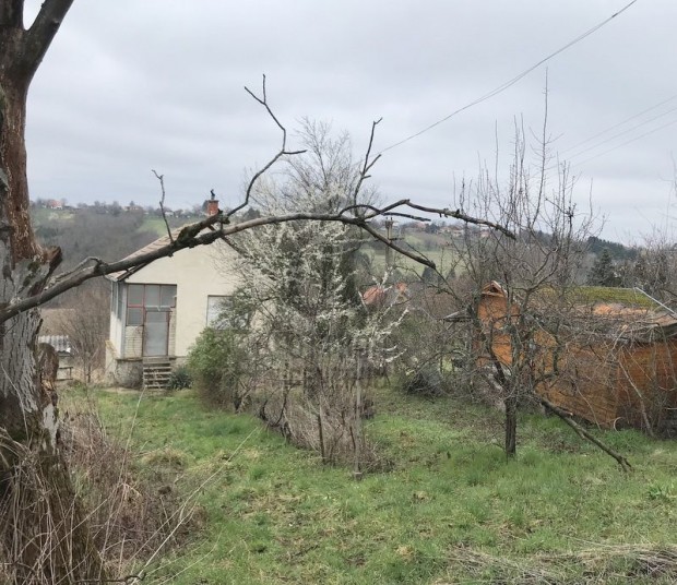 Elad� 30 nm-es h�z Zalaegerszeg