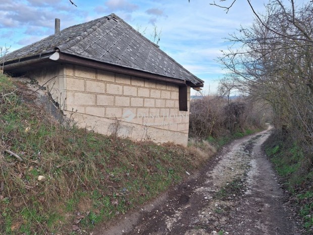 Eladó 30 nm-es ház Zámoly