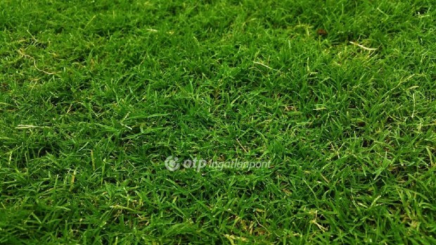 Elad� 3240 nm-es telek Gy�m�re