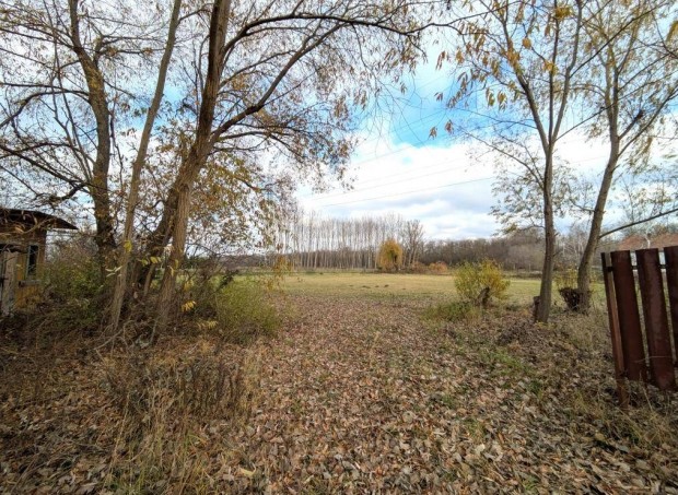 Elad� 3317 nm-es telek Debrecen #5134084