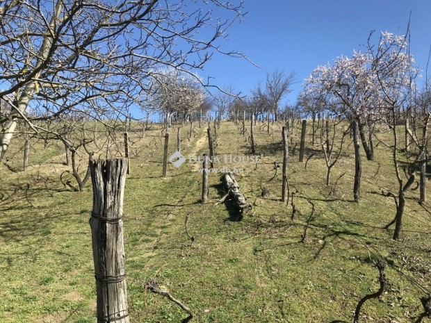 Elad� 3345 nm-es telek M�r