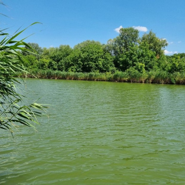 Eladó 34 nm-es Üdülő, nyaraló Gyomaendrőd