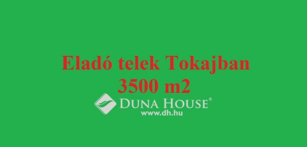 Elad� 3501 nm-es telek Tokaj