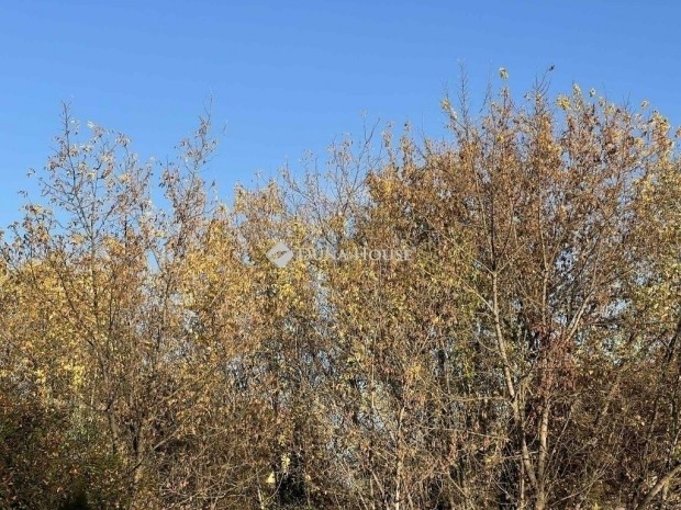 Elad� 387 nm-es telek Szeged