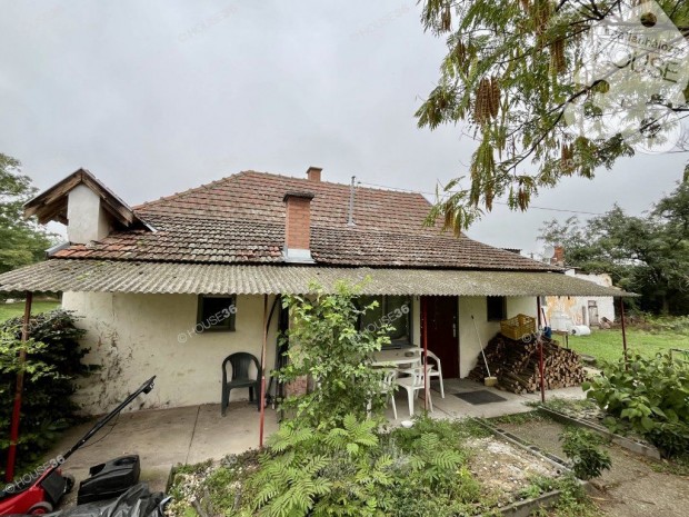 Elad� 3 szob�s csal�di h�z hatalmas telken Tiszaalp�r k�lter�let�n!