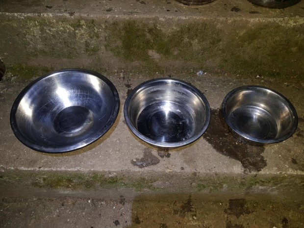 Elad� 3db kutyat�l, macskat�l