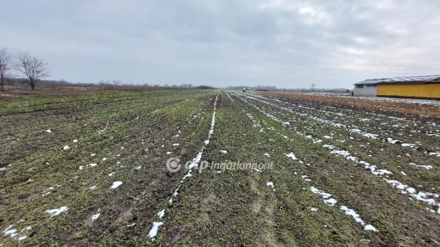 Elad� 4001 nm-es telek Tiszak�cske