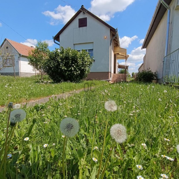 Elad� 43 nm-es h�z Nagykanizsa