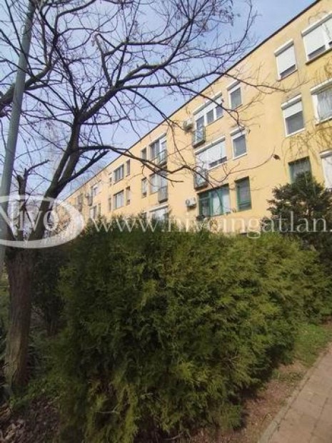 Elad� 43 nm-es t�gla lak�s Hajm�sk�r