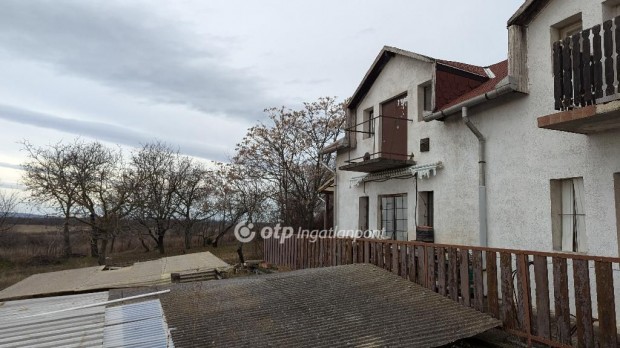 Elad� 44 nm-es h�z Z�moly