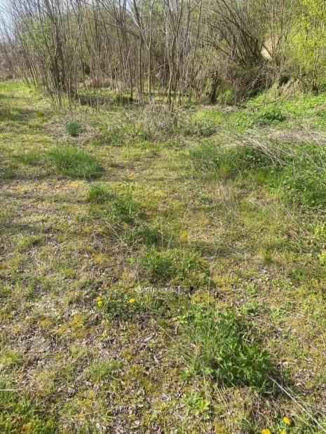 Elad� 4973 nm-es telek Zalab�r