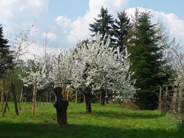 Elad� 500 nm-es �p�t�s telek Her�nyben, sz�p k�rnyezetben