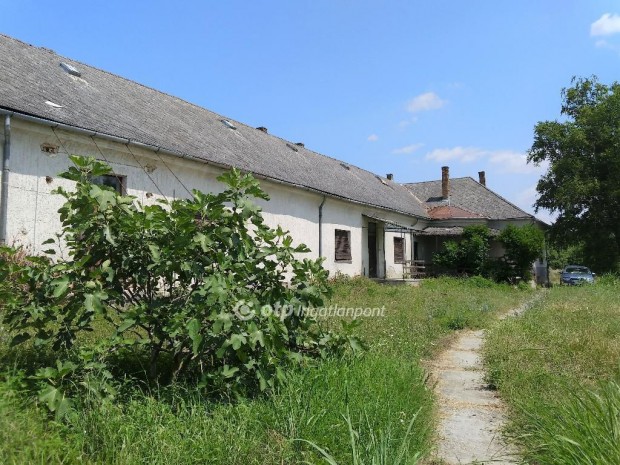 Elad� 505 nm-es h�z Szabadi