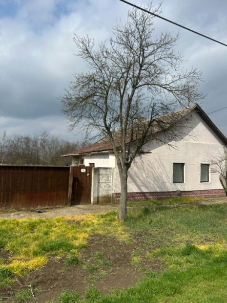 Elad� 50 nm-es Fel�j�tand� Csal�di h�z Dombiratos