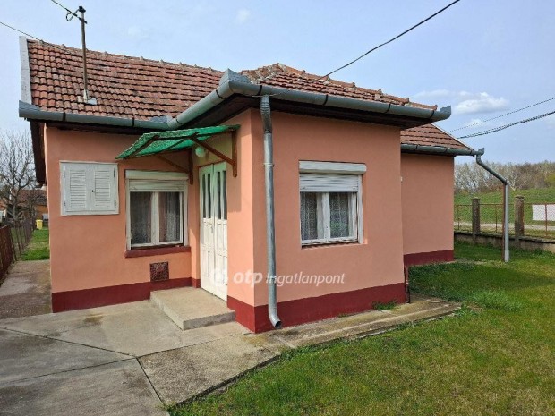 Elad� 50 nm-es h�z Gyula