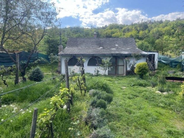 Elad� 50 nm-es h�z Iszkaszentgy�rgy