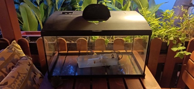 Elad 50l-es aquarium