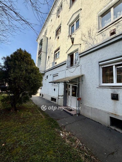 Elad� 51 nm-es lak�s Salg�tarj�n