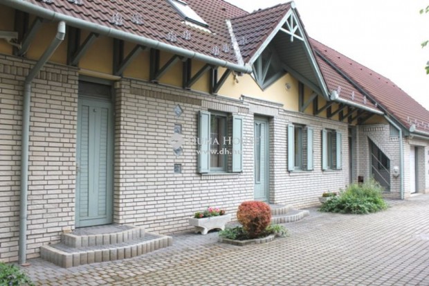 Elad� 551 nm-es h�z �ll�