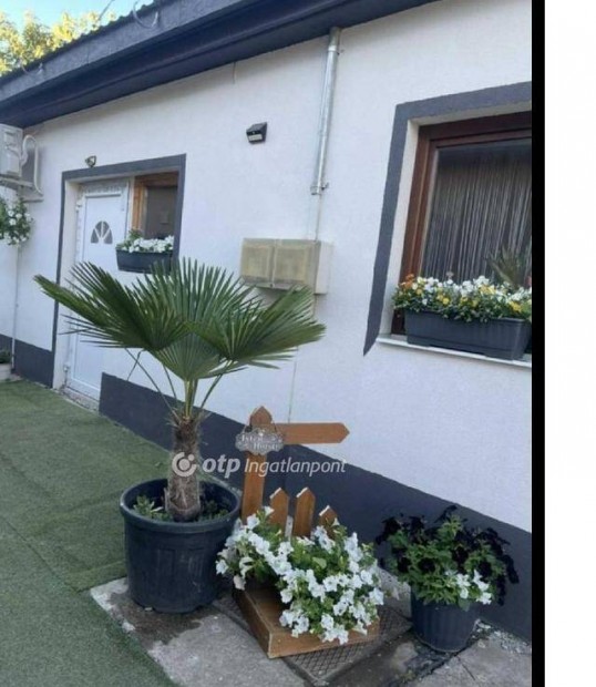 Elad� 55 nm-es h�z Hajd�b�sz�rm�ny #5147387