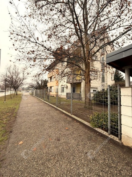 Elad� 55 nm-es lak�s Gy�r