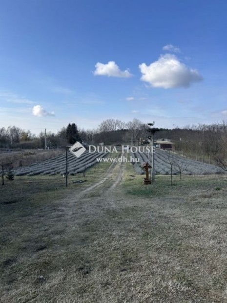 Elad� 5635 nm-es telek Ny�rtura