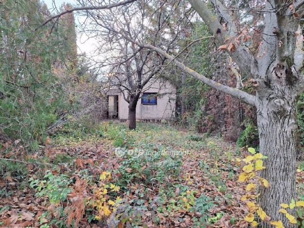 Elad� 584 nm-es telek Balatonakarattya