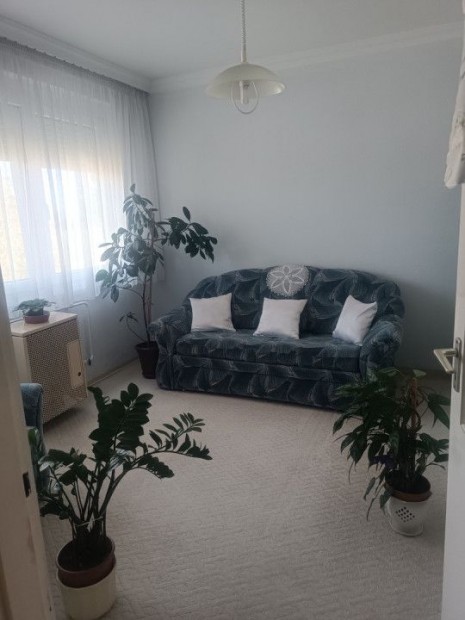 Elad� 58 nm-es panel lak�s Balmaz�jv�ros