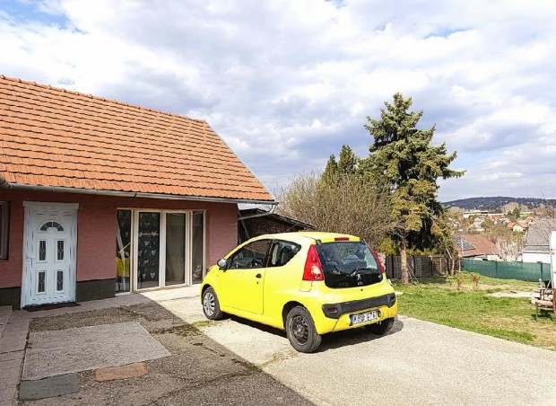 Elad� 59 nm-es h�z Biatorb�gy