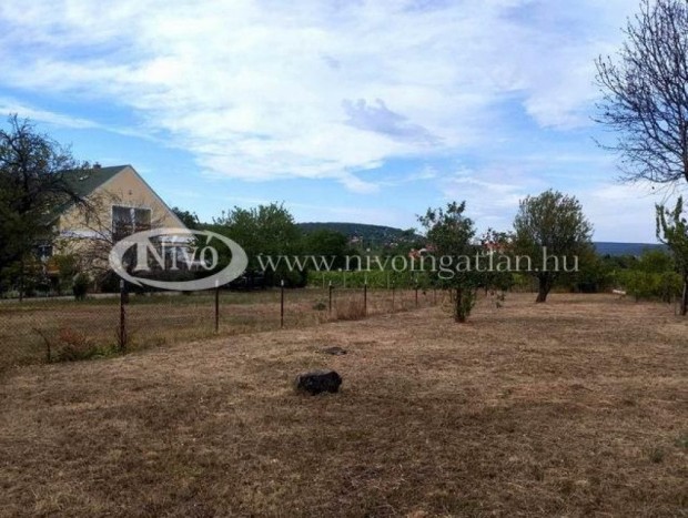 Elad� 60 nm-es Csal�di h�z Csopak