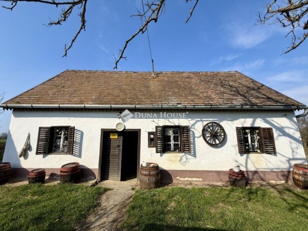 Elad� 60 nm-es h�z G�rcs�ny