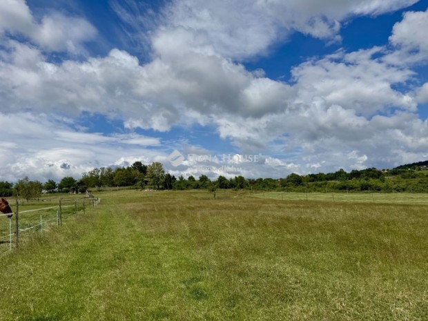 Elad� 61686 nm-es telek D�rgicse