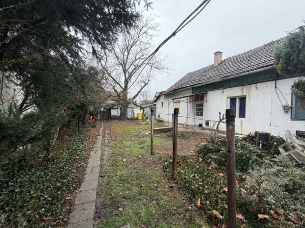 Elad� 65 nm-es Fel�j�tand� H�zr�sz Gyula