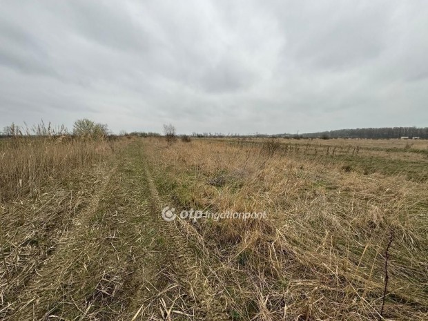 Elad� 667 nm-es telek Kisk�re