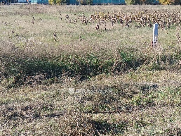 Elad� 677 nm-es telek T�k�l