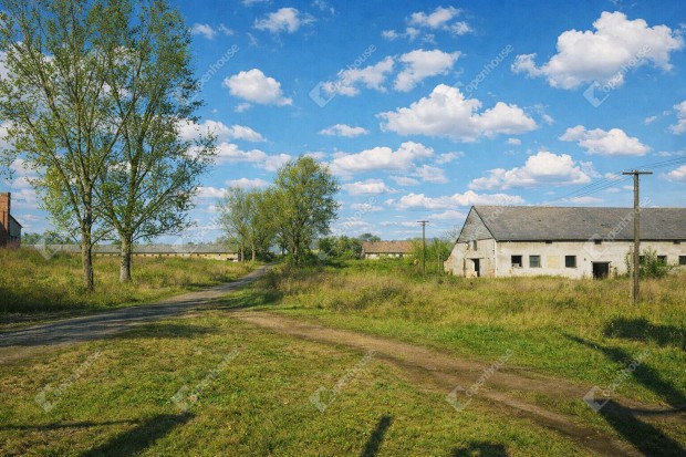 Elad� 71039 nm-es mez�gazdas�gi ingatlan Bodajk