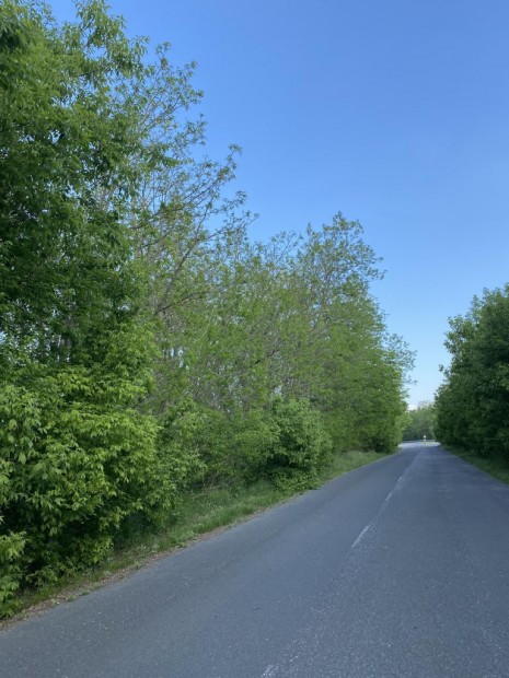 Elad� 71500 nm-es telek �jharty�n