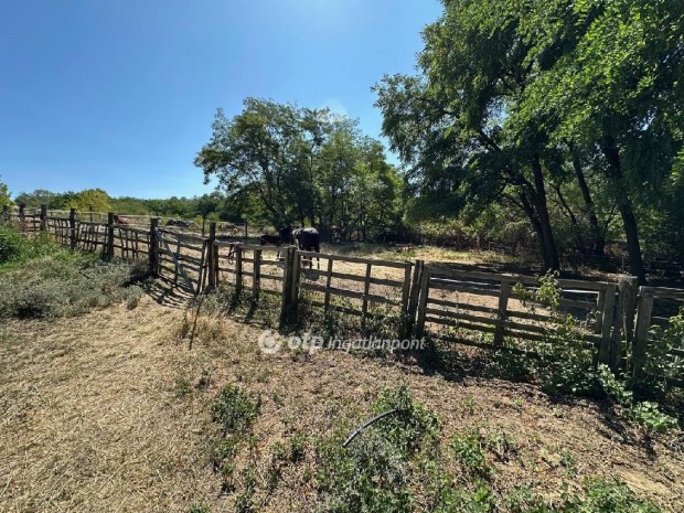 Elad� 71 nm-es h�z Kerepes