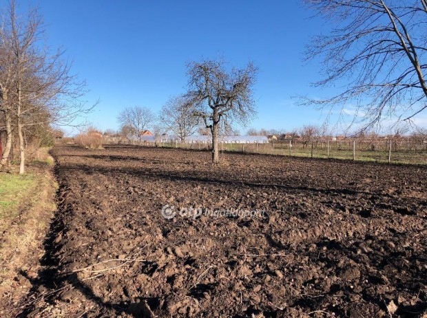 Elad� 7425 nm-es telek Orosh�za