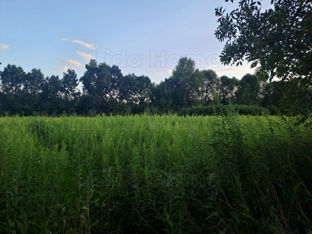 Elad 7616 m-es legel terlet Nagykanizsa mellett, kivl