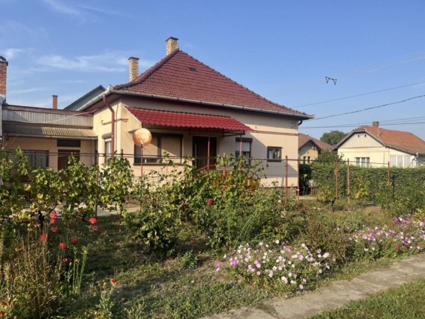 Elad� 78 nm-es Csal�di h�z N�dudvar