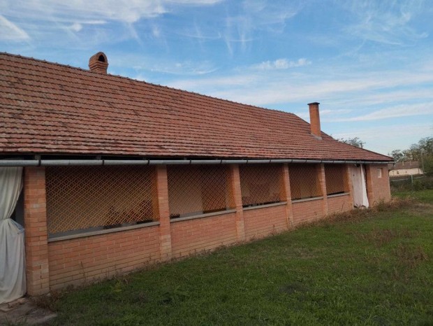 Elad� 80 nm-es Csal�di h�z Csan�dalberti J�kai M�r utca 1