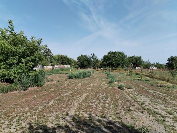 Elad� 815 nm-es telek T�rtel