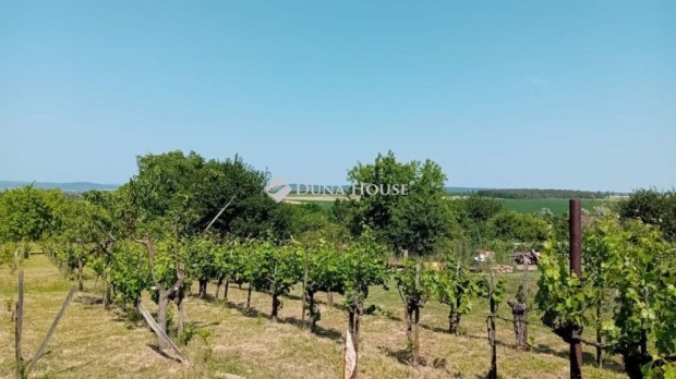 Elad� 8335 nm-es telek Etyek