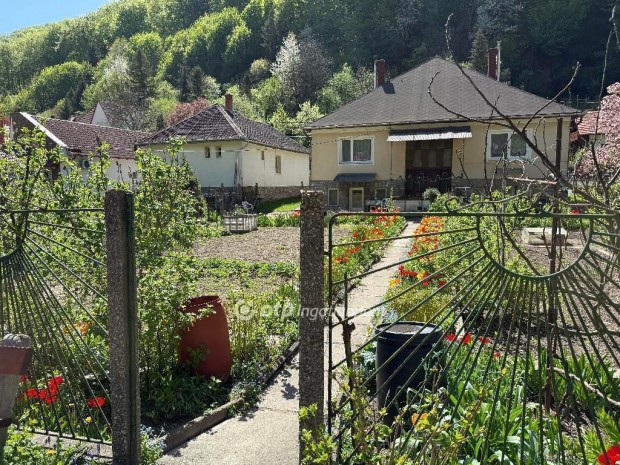 Elad 84 nm-es hz Miskolc