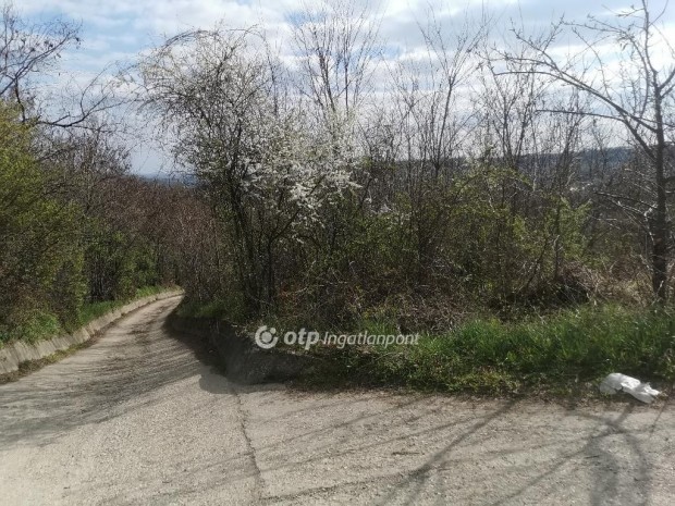 Elad� 858 nm-es telek Szeksz�rd