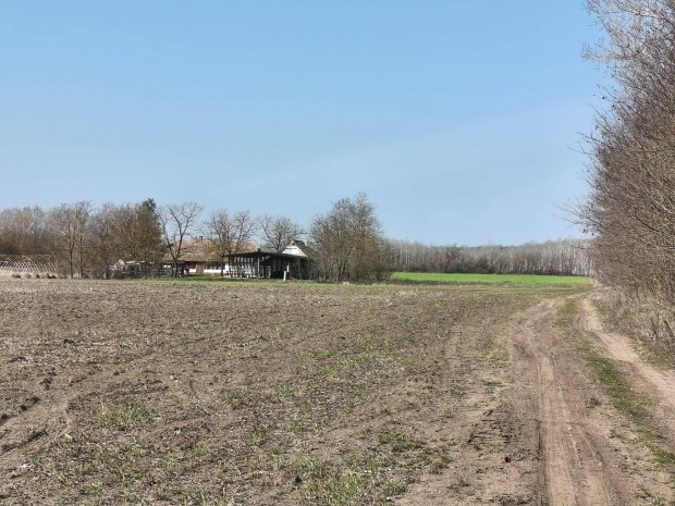 Elad� 8 hekt�r ter�leten l�v� tanya Pest V�rmegye