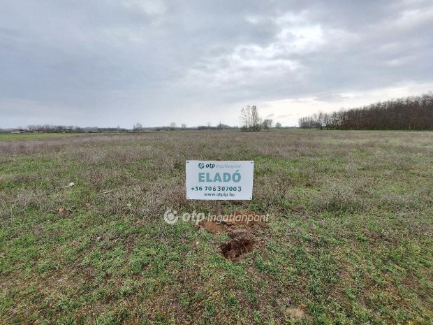 Elad� 9140 nm-es telek Tiszak�cske