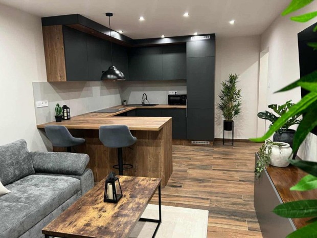 Elad� 92 nm-es Fel�j�tott t�gla lak�s Szeged Szerb utca